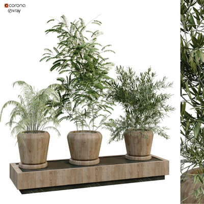 green plant in box 269 — скачать