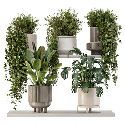 Indoor Hanging Plants in rusty Concrete Pot - Set 909 — Ver 1
