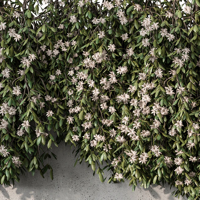 Outdoor Hanging Plants with White Flower - Set 390 — Descargar