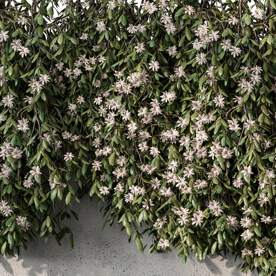 Outdoor Hanging Plants with White Flower - Set 390 — Ver 3