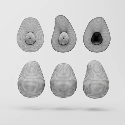 Avocado — Ver 6