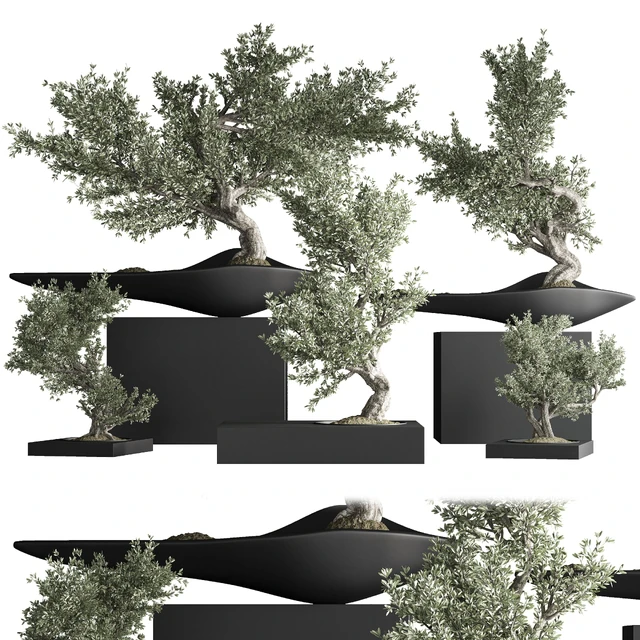 indoor plant bonsai set 29 — Скачать