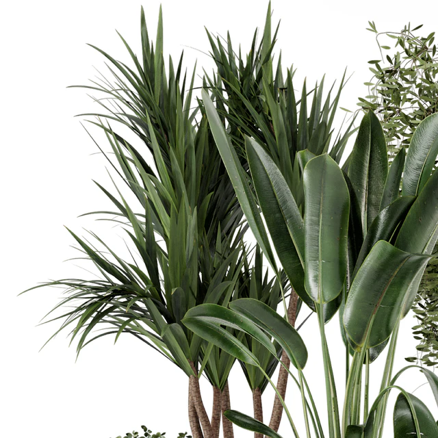 Indoor Plants in Ferm Living Bau Pot Large - Set 312 — Скачать