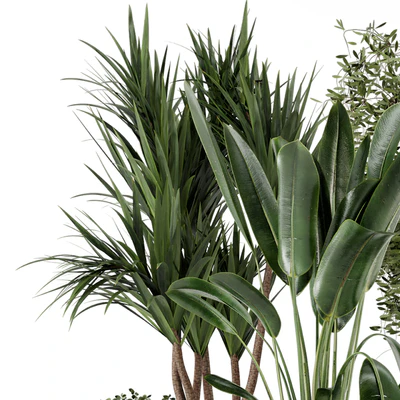 Indoor Plants in Ferm Living Bau Pot Large - Set 312 — Вид 6