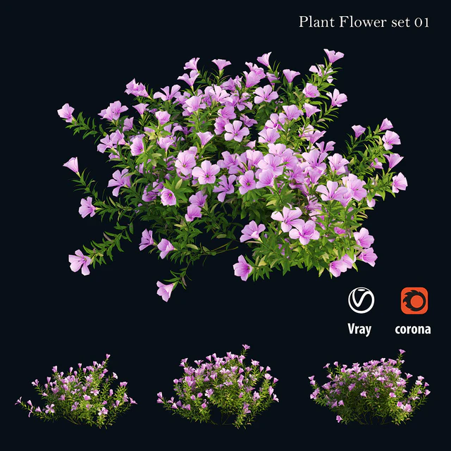 Plant Flower set 01 — Descargar