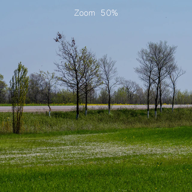 Panorama of a green field with flowers and trees. 32k — Descargar