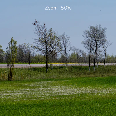 Panorama of a green field with flowers and trees. 32k — Ver 5