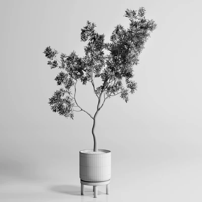 Indoor plant 176 wooden vase plant tree pot — Ver 6