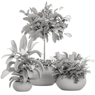 Vase Pack 8 — View 2