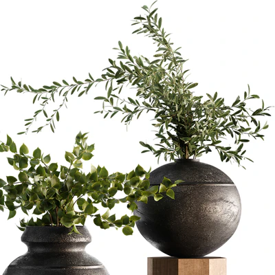 Indoor Plant Set 65 — Вид 5