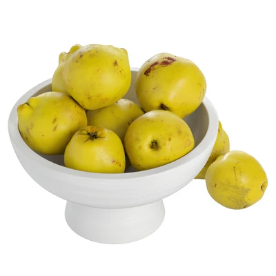 Quinces in a vase — Ver 5