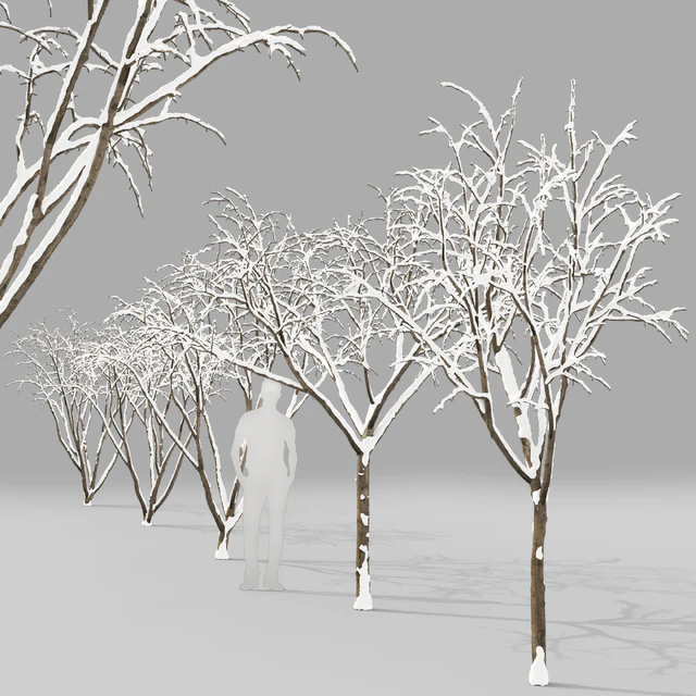 Winter apple tree | Malus Hybridus winter # 1 — Descargar