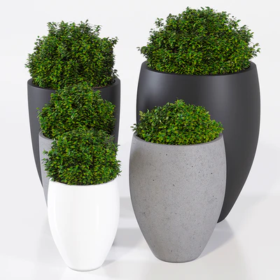 Potterypots five — Ver 2