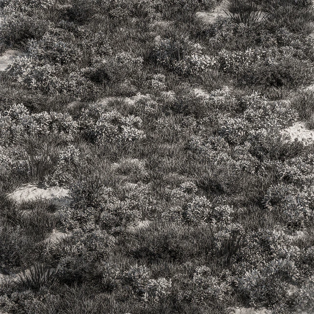 Nature Meadow - Grass Set 30 — Descargar