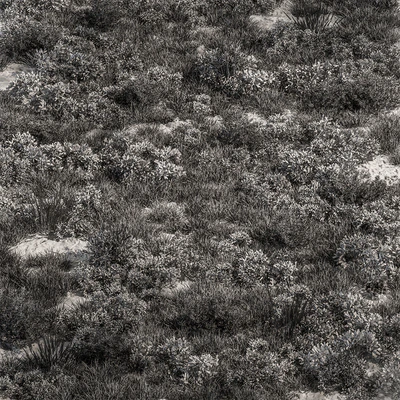 Nature Meadow - Grass Set 30 — Ver 4