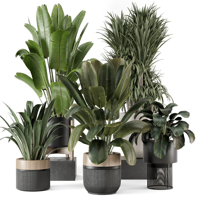 Indoor Plants in Ferm Living Bau Pot Large - Set 1947 — Download