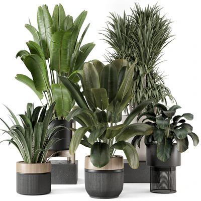 Indoor Plants in Ferm Living Bau Pot Large - Set 1947 — View 1