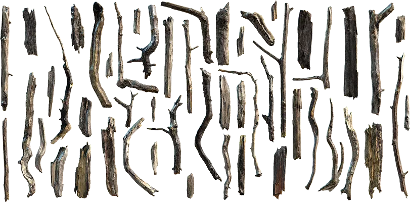 tree debris 029 — Скачать