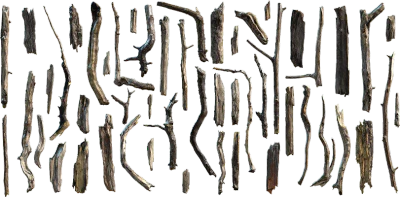 tree debris 029 — Скачать