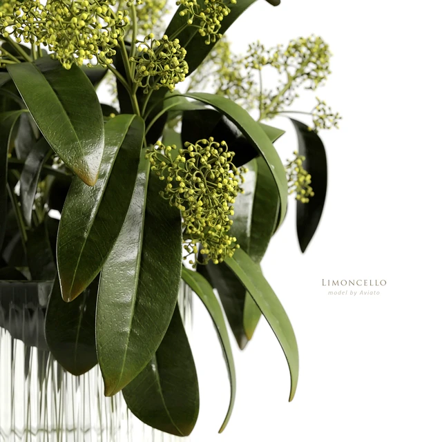 Limoncello — Descargar