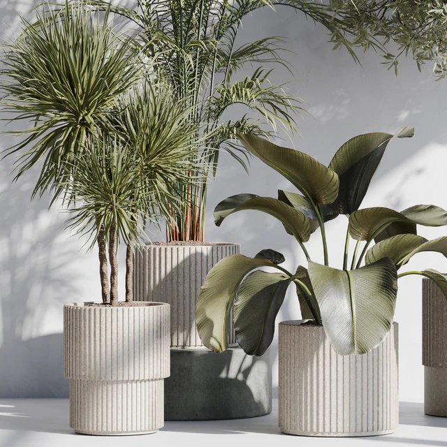 indoor plant set 71 — Скачать