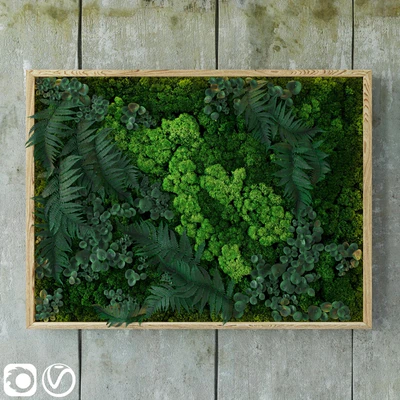 Fytowall — Ver 3