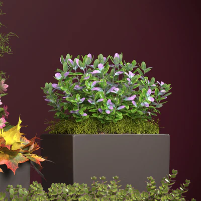 PLANTS 121 — Ver 3