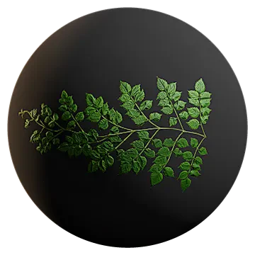 huge wild vine 001 — Скачать