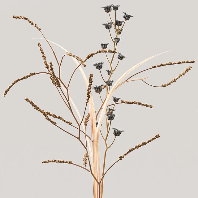 MENU Decor set — Descargar