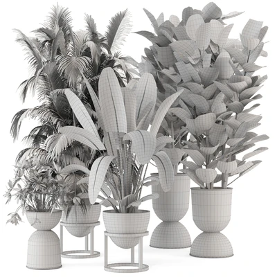 Indoor Plants in rusty Concrete Pot on Metal Shelf - Set 242 — Ver 6