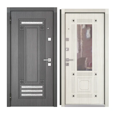 Entrance metal door Progress (Valencia) — Ver 3