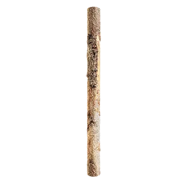 spruce branch bark 005 — Descargar