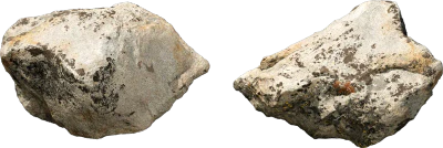 mossy forest boulder 012 — Descargar