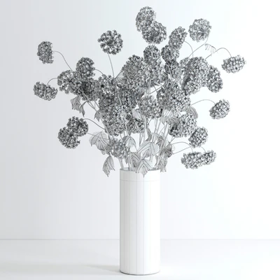 Viburnum — Вид 3