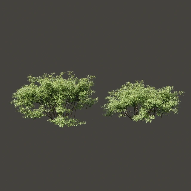 Summer bushes # 1 — Descargar
