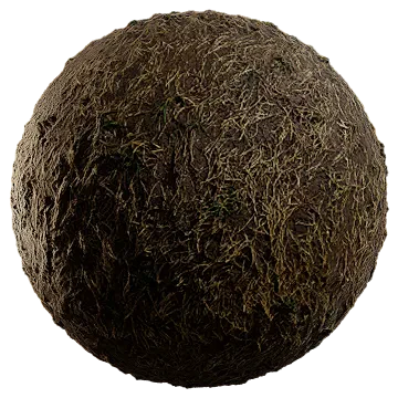 dried grass on damp soil 017 — Download