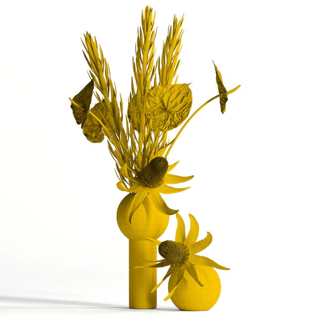 Banksia, anthurium and Leucadendron — Descargar