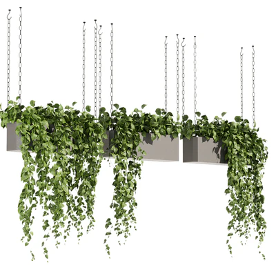 Collection plant vol 470 - ampelous - hanging - pothos — Вид 6