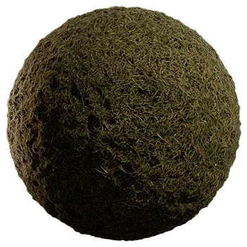 lawn grass 002 — Скачать