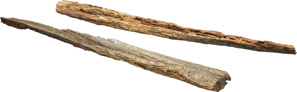 eroded pine log 001 — Скачать