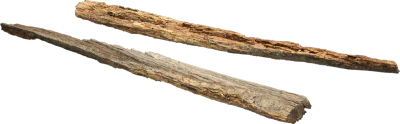 eroded pine log 001 — Скачать