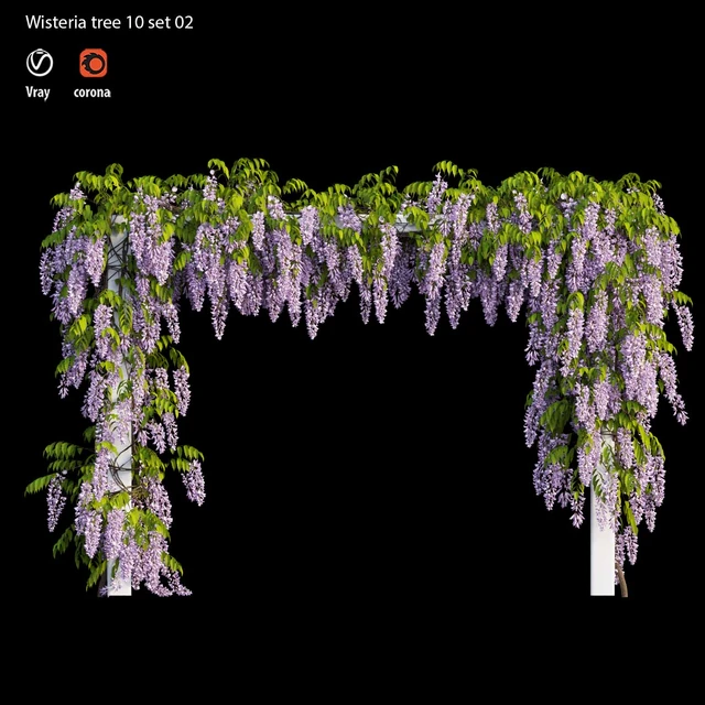 wisterial tree 10 set 02 — Descargar