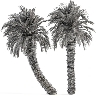 Big palm Date Tree Fluff Bark - Tree Set 87 — Вид 4