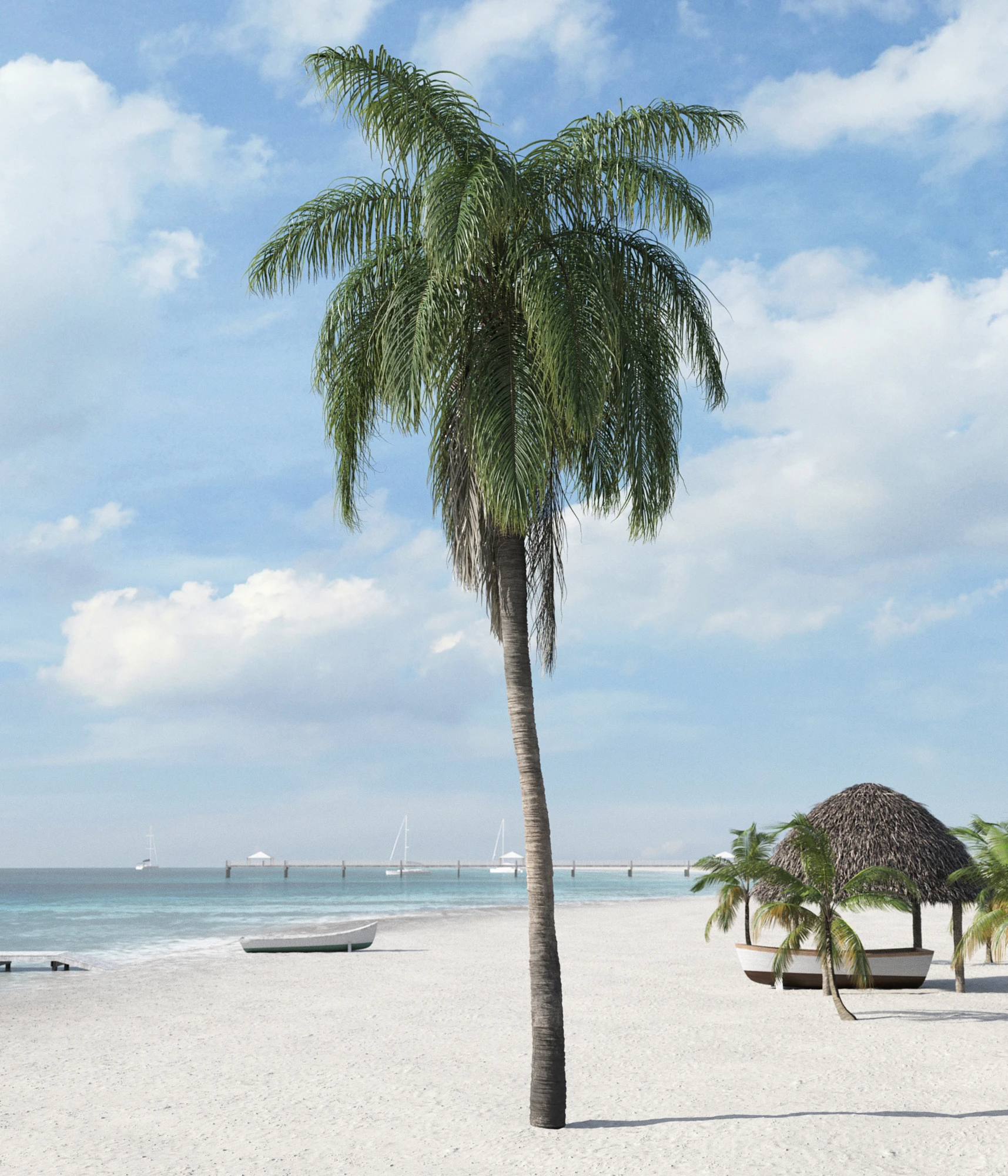 palm trees 022 — Скачать