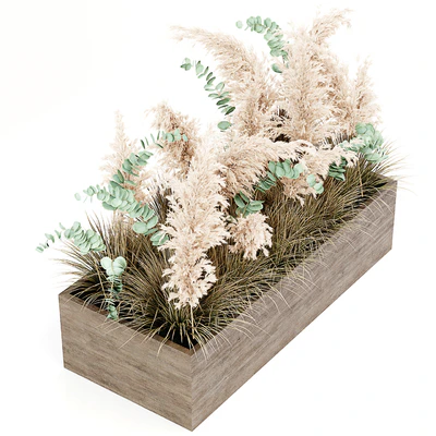 Indoor Pampas Plant 02 — Вид 3