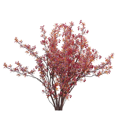 Aronia arbutifolia - Red Chokeberry — Вид 4
