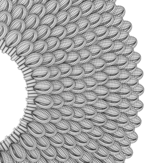 Cowry Shell Ring Decor — Download