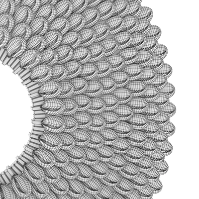 Cowry Shell Ring Decor — View 3