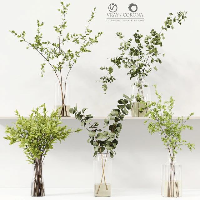 Collaction Indoor Plants 022 — Скачать