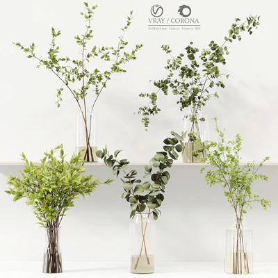 Collaction Indoor Plants 022 — Вид 1